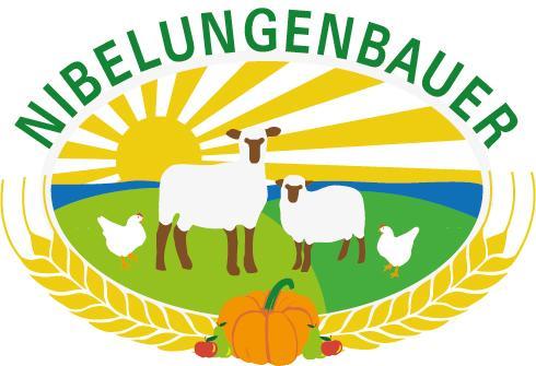 Gasthof Zum Nibelungenbauer بوشلارن المظهر الخارجي الصورة